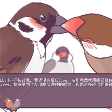《文鸟恋爱物语》一款略沙雕的文字恋爱微信大发11选5|分分11选5